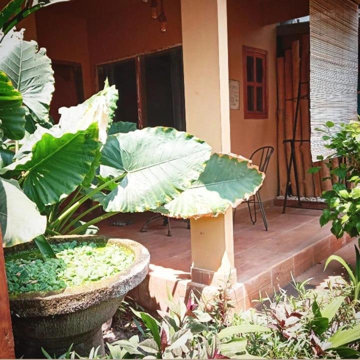 Little Elephant Cottage Gili Trawangan Exterior foto