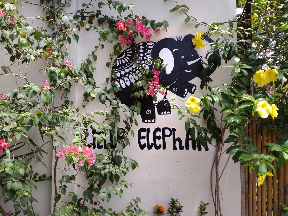 Little Elephant Cottage Gili Trawangan Exterior foto